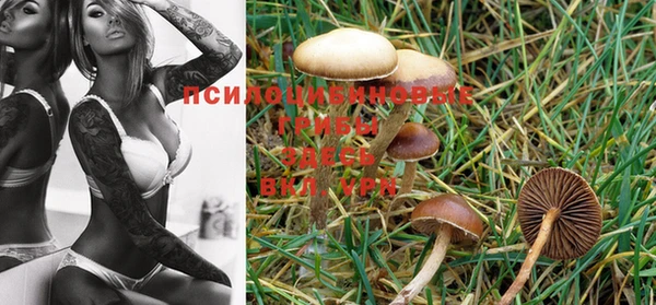 MDMA Premium VHQ Абинск