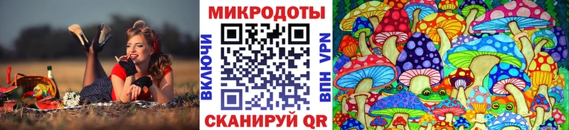 где купить наркоту  Шумиха  Галлюциногенные грибы Magic Shrooms 